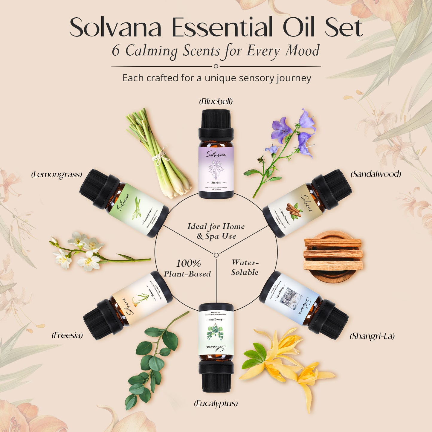 Solvana Essential Oils Set – 6x10ml Water-Soluble Oils